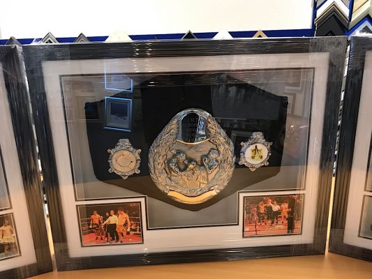 Framed Kick Boxing Belt